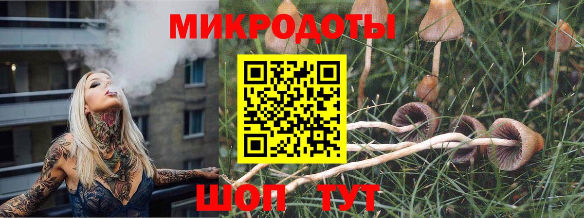 Галлюциногенные грибы GOLDEN TEACHER Магадан
